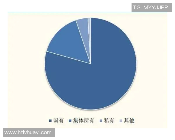 武汉足球队运营模式解析与未来发展展望